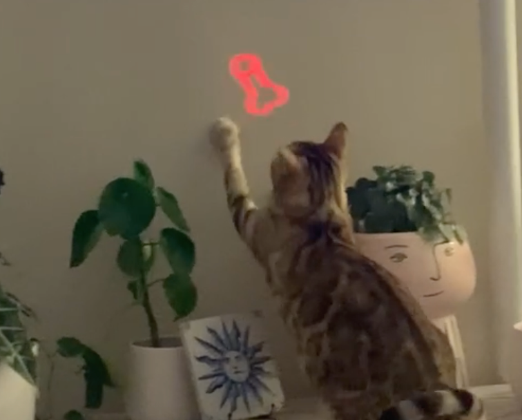 Dick Lazer: The Funniest Cat Lazer Toy That’s Also a Hilarious Gag Gift